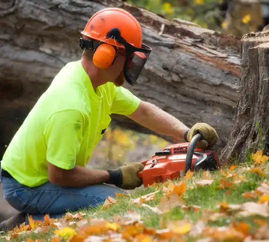 tree services Fort Johnson